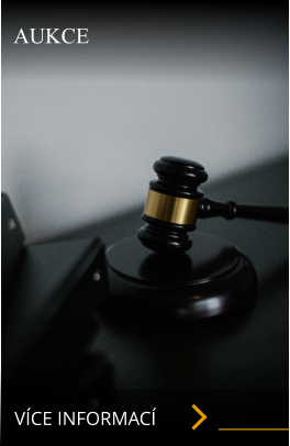 VÍCE INFORMACÍ AUKCE