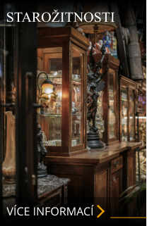 VÍCE INFORMACÍ STAROŽITNOSTI